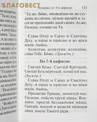 Псалтирь с толкованием, с молитвами о живых и усопших, с указанием чтений на всякую потребу преподобного Паисия Святогорца (фото, вид 1)