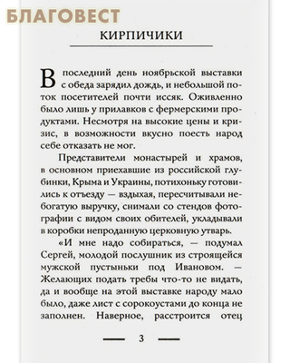 Один день. Просто прохожих не бывает. Ирина Рогалева (фото, вид 1)