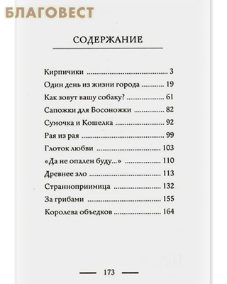 Один день. Просто прохожих не бывает. Ирина Рогалева (фото, вид 2)