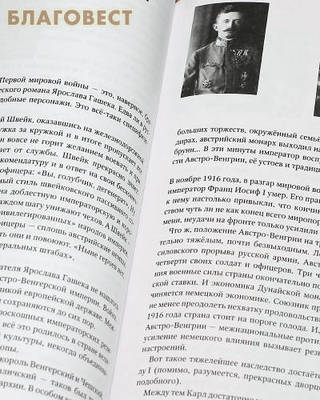 1917... Переворот? Революция? Смута? Голгофа! Феликс Разумовский (фото, вид 2)