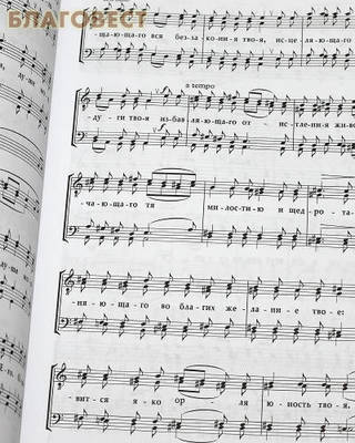 Божественная Литургия святителя Иоанна Златоуста. Для мужского хора. Инок Киприан (Строкин) (фото, вид 1)