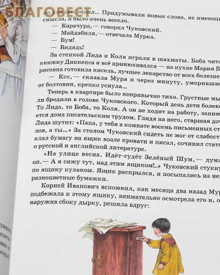 Загадочная жизнь Мурочки Чуковской. Лев Усачев (фото, вид 4)