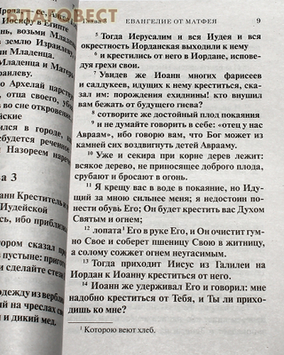 Святое Евангелие (фото, вид 4)
