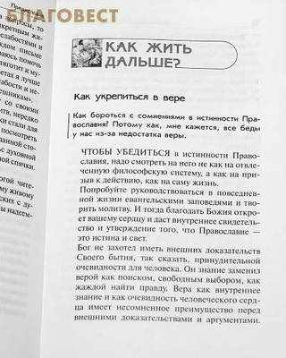 Спасение во многом совете. Вопросы и ответы. Архимандрит Рафаил (Карелин) (фото, вид 1)