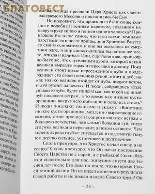 Беседы на Евангелие. Комплект в 2-х томах. Святитель Николай Сербский (фото, вид 4)