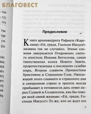 Ей, гряди, Господи Иисусе! Архимандрит Рафаил (Карелин) (фото, вид 1)
