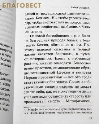 Ей, гряди, Господи Иисусе! Архимандрит Рафаил (Карелин) (фото, вид 3)