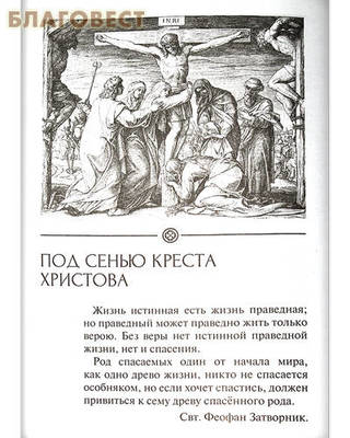 Под сенью Креста Христова. Архимандрит Лазарь (Абашидзе) (фото, вид 1)