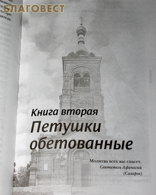 Петушки обетованные. Иеромонах Серафим (Катышев) (фото, вид 3)