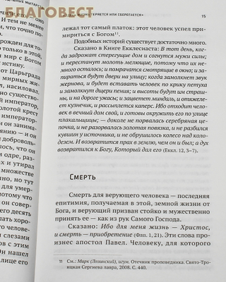 Воздушные мытарства, или Экзамен, которого нельзя избежать. Протоиерей Олег Стеняев (фото, вид 3)
