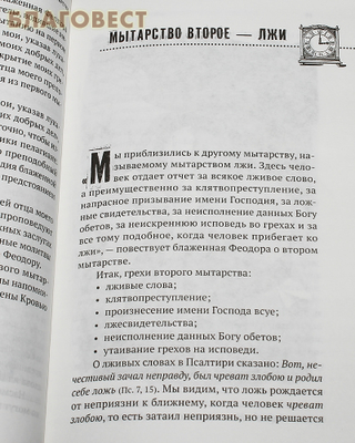 Воздушные мытарства, или Экзамен, которого нельзя избежать. Протоиерей Олег Стеняев (фото, вид 4)