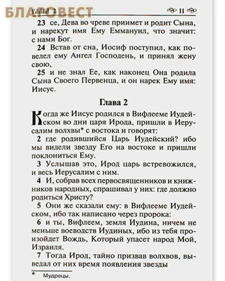Новый Завет Господа нашего Иисуса Христа. Русский шрифт. Крупный шрифт (фото, вид 1)
