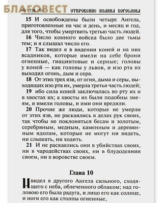 Новый Завет Господа нашего Иисуса Христа. Русский шрифт. Крупный шрифт (фото, вид 2)