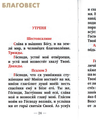 Домашнее последование воскресной вечерни, утрени, часов и обедницы (фото, вид 1)