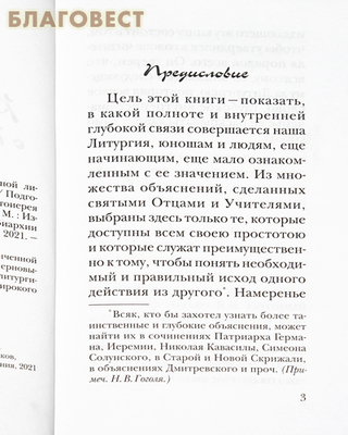 Размышления о Божественной литургии. Николай Гоголь (фото, вид 1)