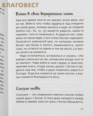 Давайте говорить о хорошем. Протоиерей Андрей Лемешонок (фото, вид 2)