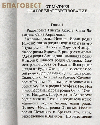 Святое Евангелие (слова Спасителя выделены жирным шрифтом) (фото, вид 1)