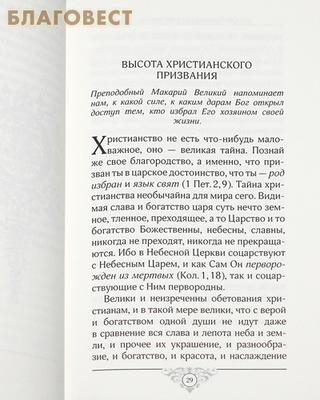 Эхо любви. По страницам «Добротолюбия» (фото, вид 2)
