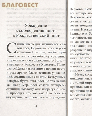 Рождество Христово со святителем Феофаном Затворником (фото, вид 1)