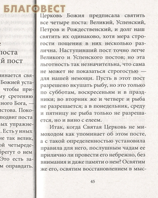 Рождество Христово со святителем Феофаном Затворником (фото, вид 2)