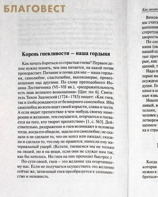 Гневаюсь и раздражаюсь. Что делать? Основы православия (фото, вид 1)