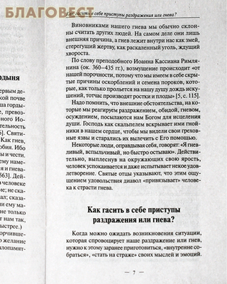 Гневаюсь и раздражаюсь. Что делать? Основы православия (фото, вид 2)