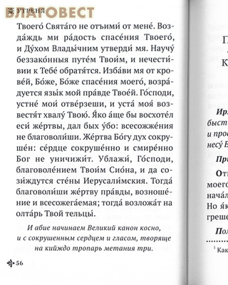 Утреня с чтением Великого канона преподобного Андрея Критского. Мариино стояние (фото, вид 3)
