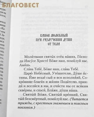 Псалтирь и молитвы по усопшим. Русский шрифт (фото, вид 1)