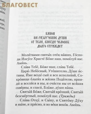 Псалтирь и молитвы по усопшим. Русский шрифт (фото, вид 3)