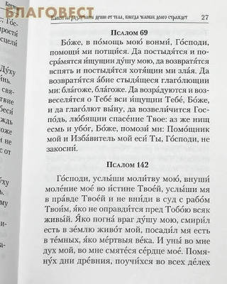 Псалтирь и молитвы по усопшим. Русский шрифт (фото, вид 4)