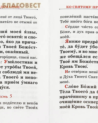 Православный молитвослов. Карманный формат. Русский шрифт (фото, вид 2)