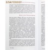 вид 1