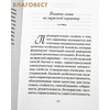 вид 3