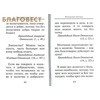 вид 1