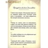 вид 1