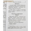 вид 2