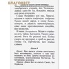 вид 2
