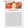 вид 2