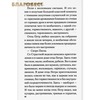 вид 2