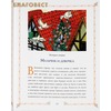 вид 1