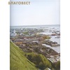 вид 4