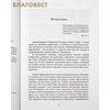 вид 1
