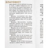 вид 1