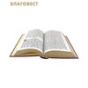 вид 4