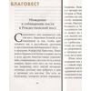 вид 1