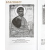 вид 5