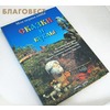 вид 1
