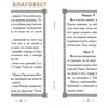 вид 2