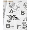 вид 4