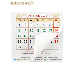     2024  ( )